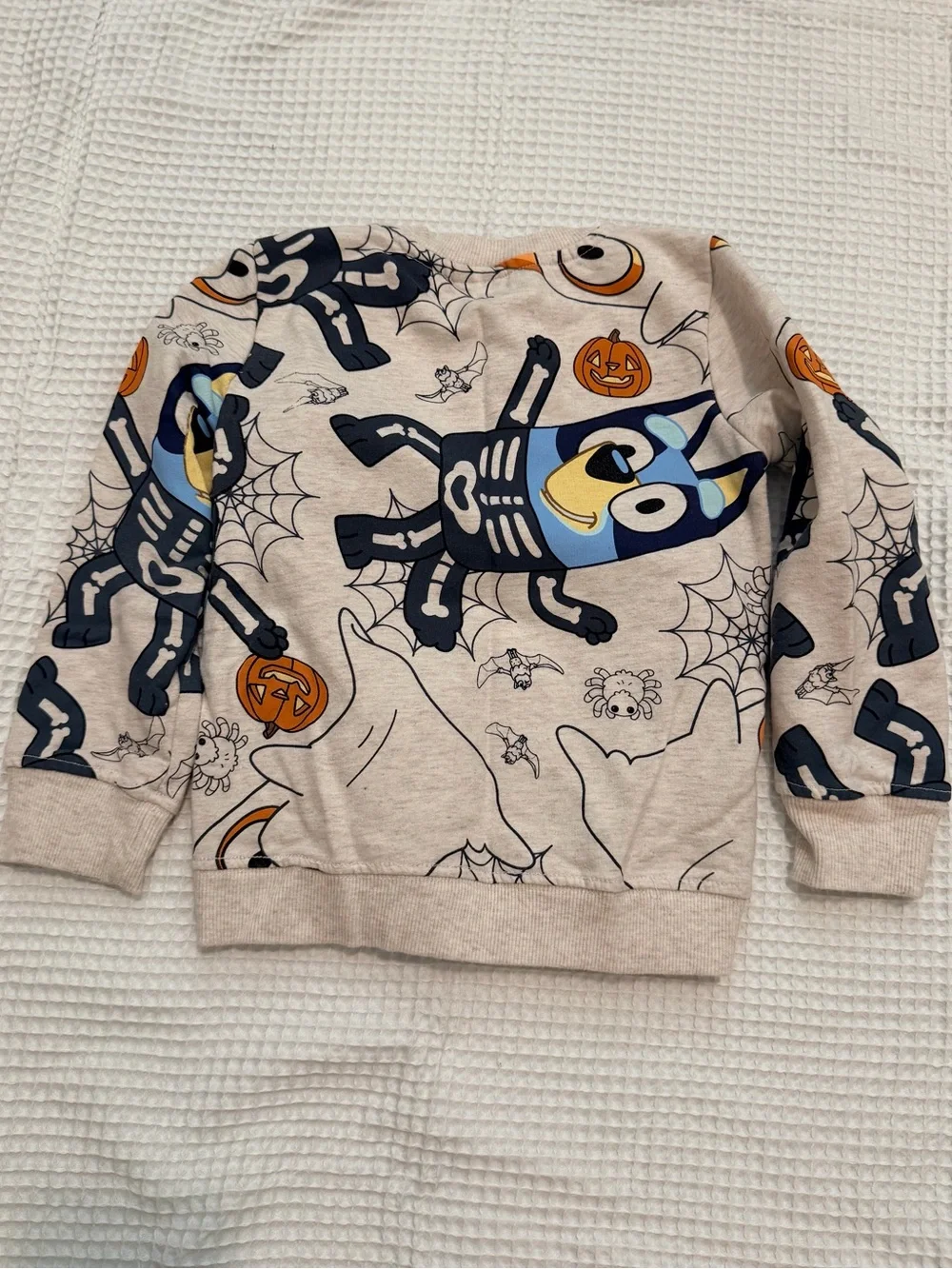 Bluey Kids Halloween Pumpkin Sweatshirt & Pants Set